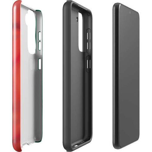 Mexico Flag Galaxy S21 FE Pro Case